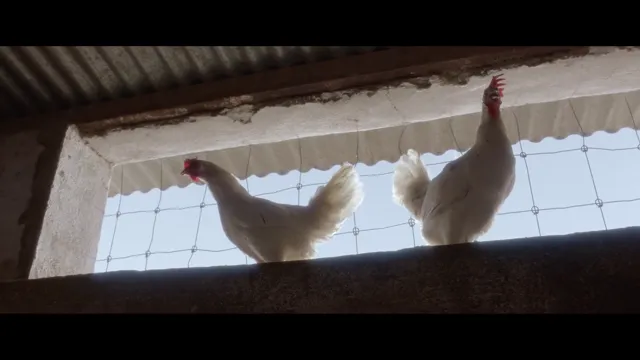 Tin & Tina 2023 Vietsub HD - PhimMoiHot Tin & Tina 2023 Vietsub HD - PhimMoiHot