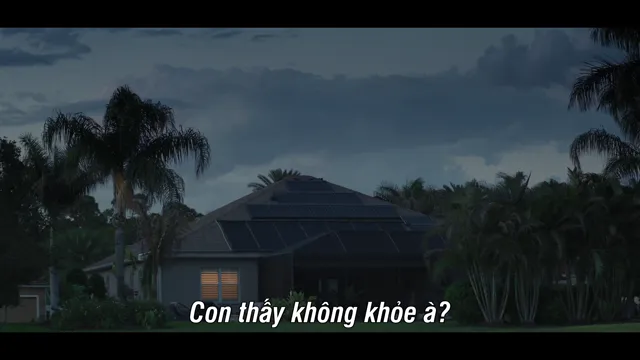 Hình ảnh phim Hãy chăm sóc Maya trên PhimMoiHot Hình ảnh phim Hãy chăm sóc Maya trên PhimMoiHot