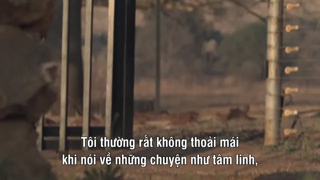 Ẩn số Trái đất: Hang hài cốt tập 1 Vietsub HD - PhimMoiHot Ẩn số Trái đất: Hang hài cốt tập 1 Vietsub HD - PhimMoiHot