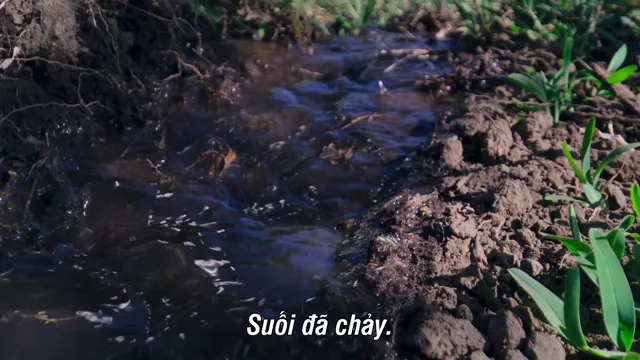 Thế giới thú săn mồi tập 1 Vietsub HD - PhimMoiHot Thế giới thú săn mồi tập 1 Vietsub HD - PhimMoiHot