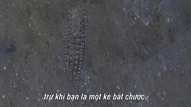Secrets of the Octopus tập 3 Vietsub HD - PhimMoiHot Secrets of the Octopus tập 3 Vietsub HD - PhimMoiHot