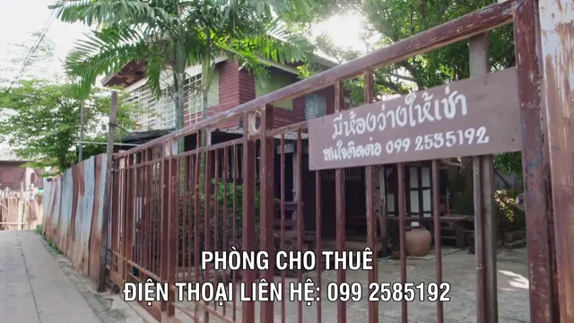 Z Power 2024 Vietsub HD - PhimMoiHot Z Power 2024 Vietsub HD - PhimMoiHot