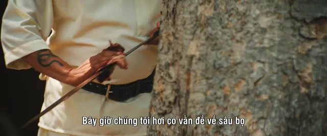 Xem phim Tín Hiệu Cầu Cứu Vietsub HD tại PhimMoiHot Xem phim Tín Hiệu Cầu Cứu Vietsub HD tại PhimMoiHot