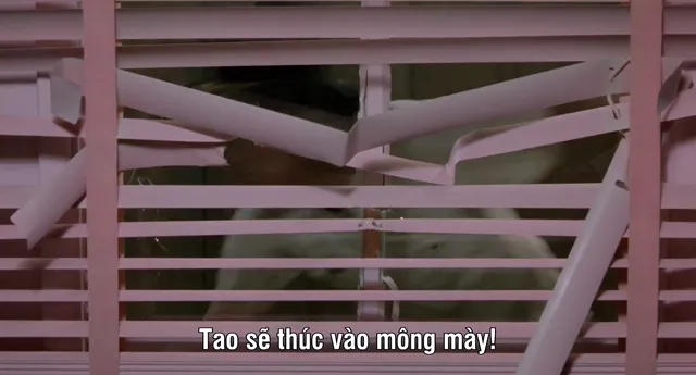 Hình ảnh Beneath the Valley of the Ultra-Vixens tập 1 trên PhimMoiHot Hình ảnh Beneath the Valley of the Ultra-Vixens tập 1 trên PhimMoiHot