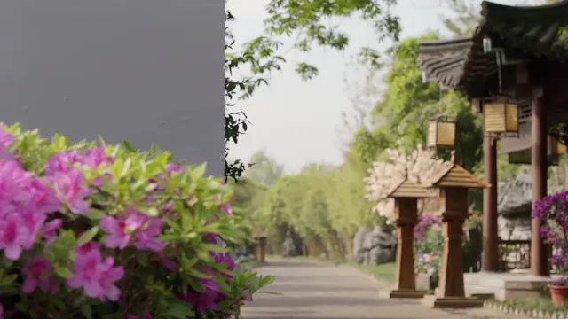 Ngộ Long 2021 Vietsub HD - PhimMoiHot Ngộ Long 2021 Vietsub HD - PhimMoiHot